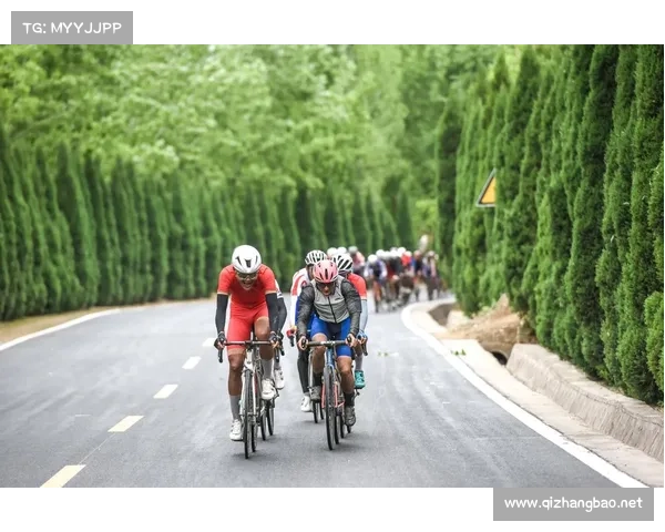 公路自行车竞赛规则
